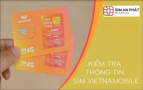 cach-kiem-tra-thong-tin-sim-vietnamobi
