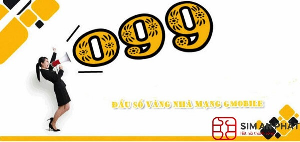 dau-so-vang-099