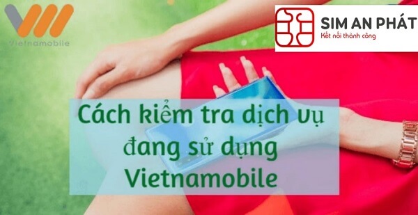 kiem-tra-dich-vu-dang-su-dung-cua-vietnamobile